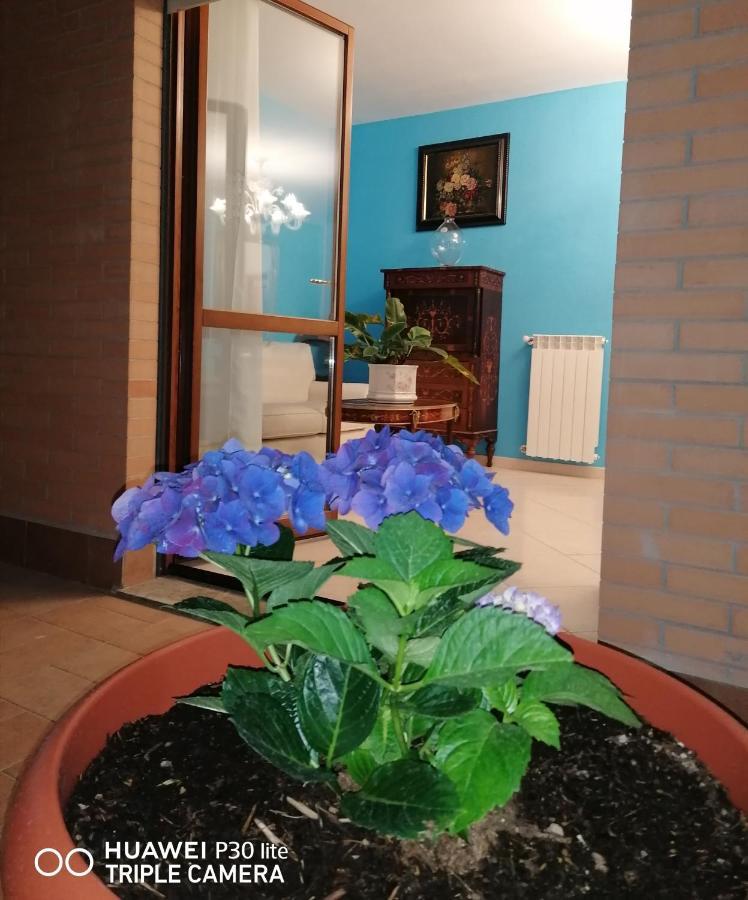 B&Byanet'S Beautiful House Civitavecchia Dış mekan fotoğraf