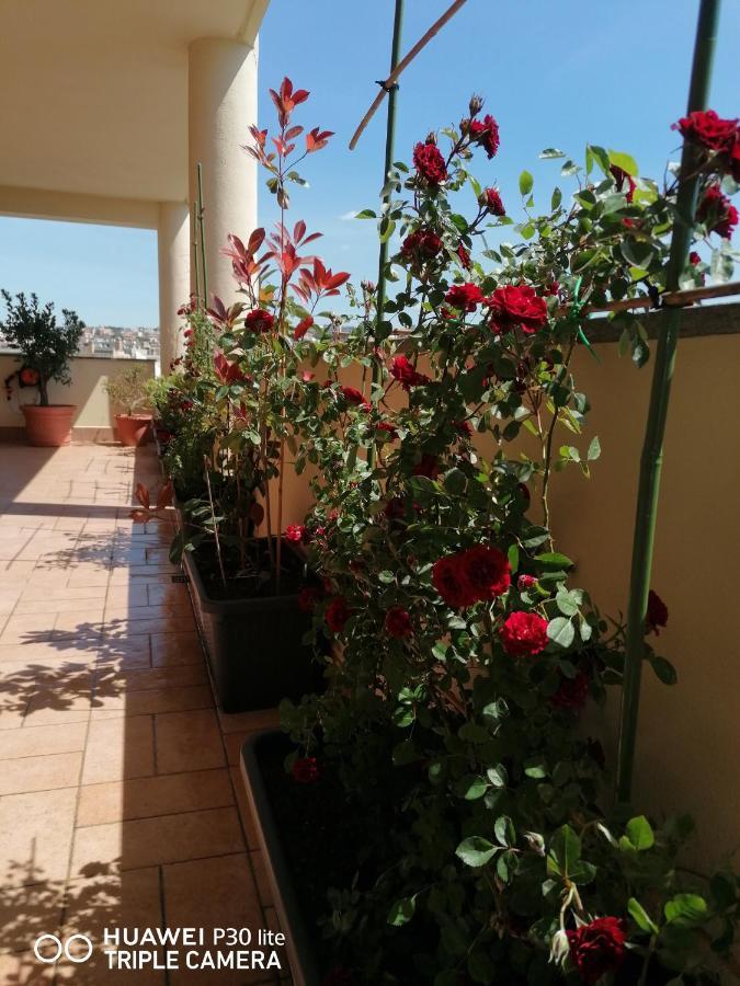 B&Byanet'S Beautiful House Civitavecchia Dış mekan fotoğraf